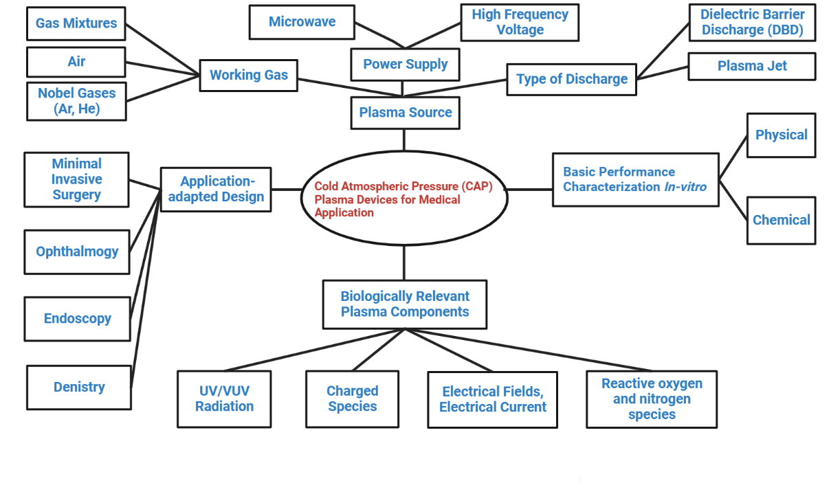 Figure 4. The foremost crucial factors should be considered before in-vivo usage whenever CAP tools for clinical uses are designed and developed for particular purposes.
