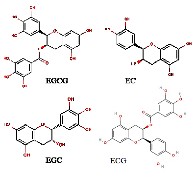 Figure 4. Structure of catechins present in green tea (23, 24, 25, 26).
