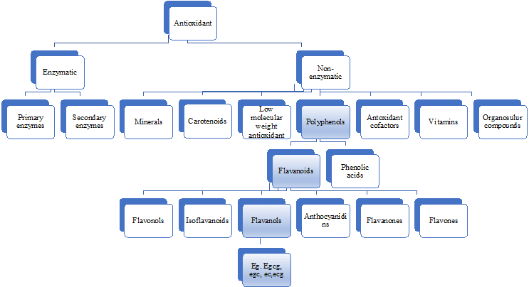 Figure 2. Classification of antioxidant.