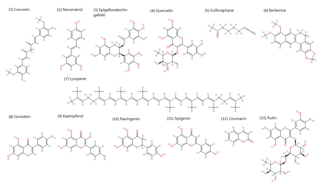 Figure 1. Phytochemicals preventing the mitochondrial drug-resistance mechanism.