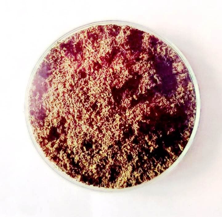 Figure 2. Powdered dried leaves of Centella asiatica.