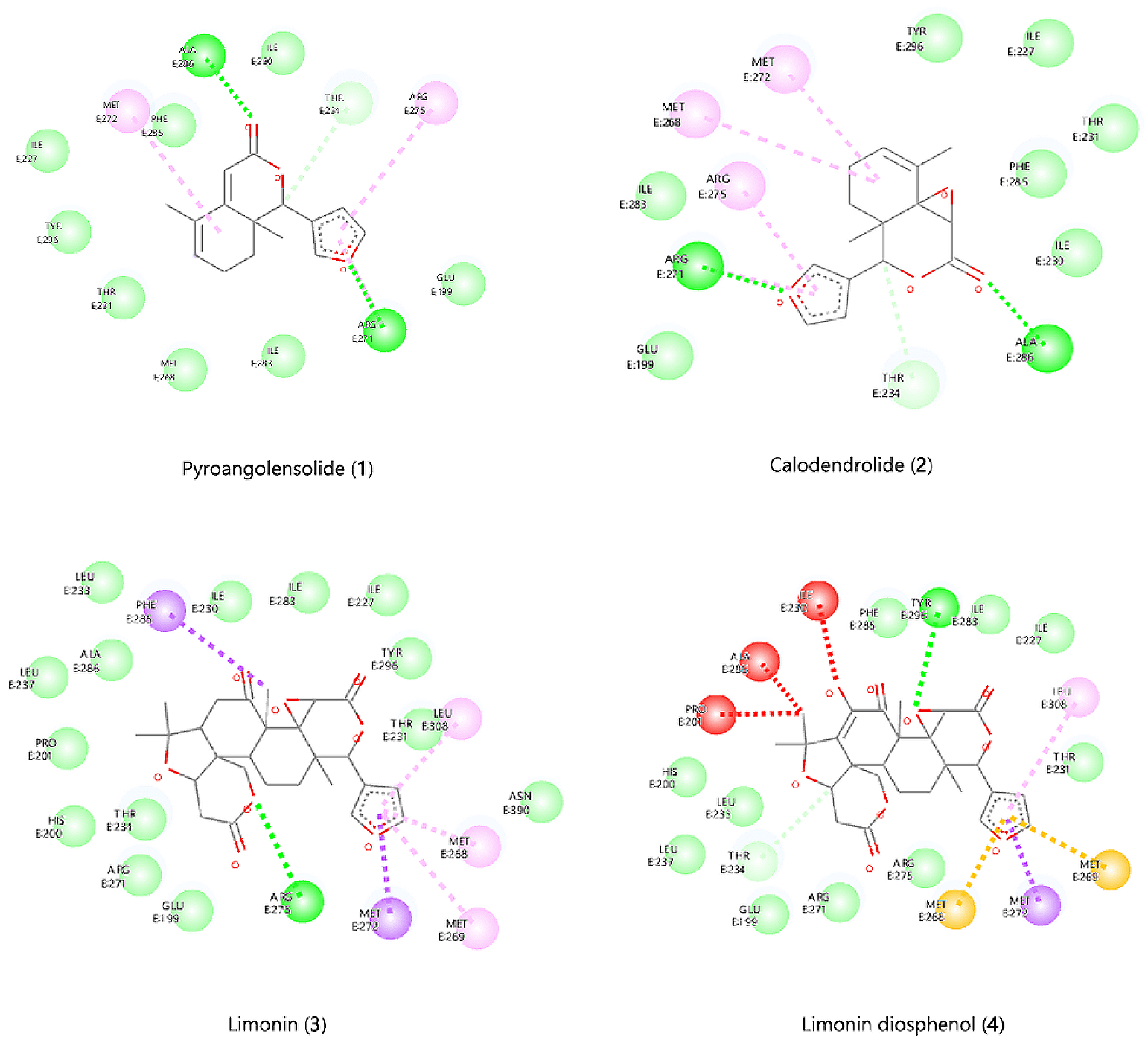 Figure 3. 2D diagrams showing interactions of amino acids in the receptor pocket docked with the most favourable pose of the limonoids.