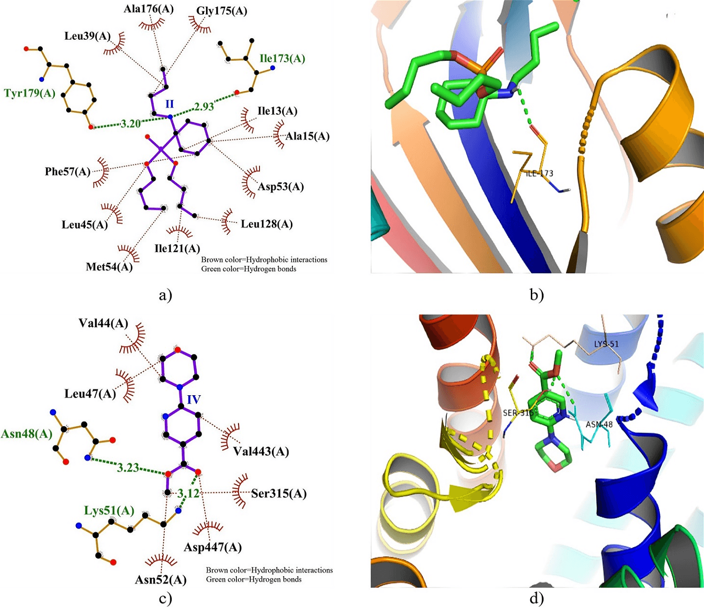 Figure 3. 2D and 3D docking interactions of DHFRTS and PfHT1 with compound II and IV.