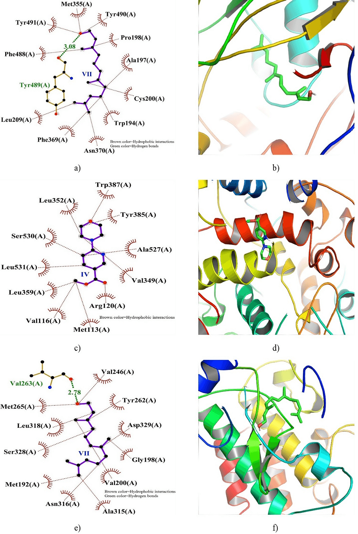 Figure 5. 2D and 3D docking interactions of INOS, COX2, and IRAK4 with compound VII, IV, and VII.