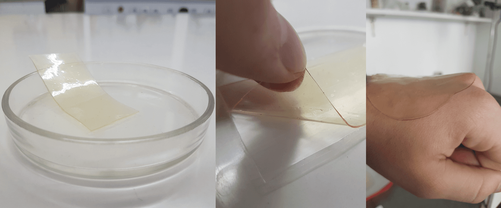 Figure 1. Hydrogels based on CHS/PVP/PHMG-H.