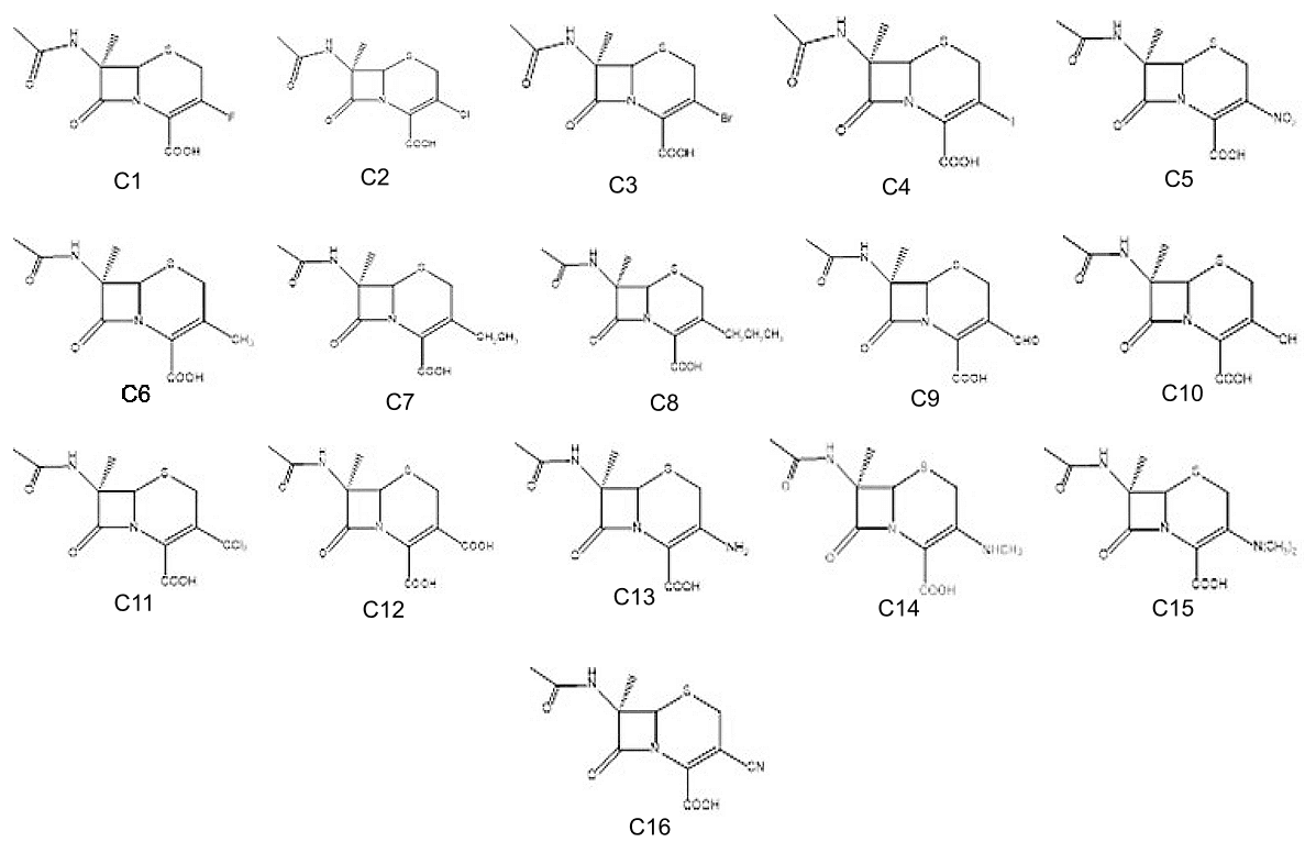 Figure 4. List of cephalosporin derivatives with their code.