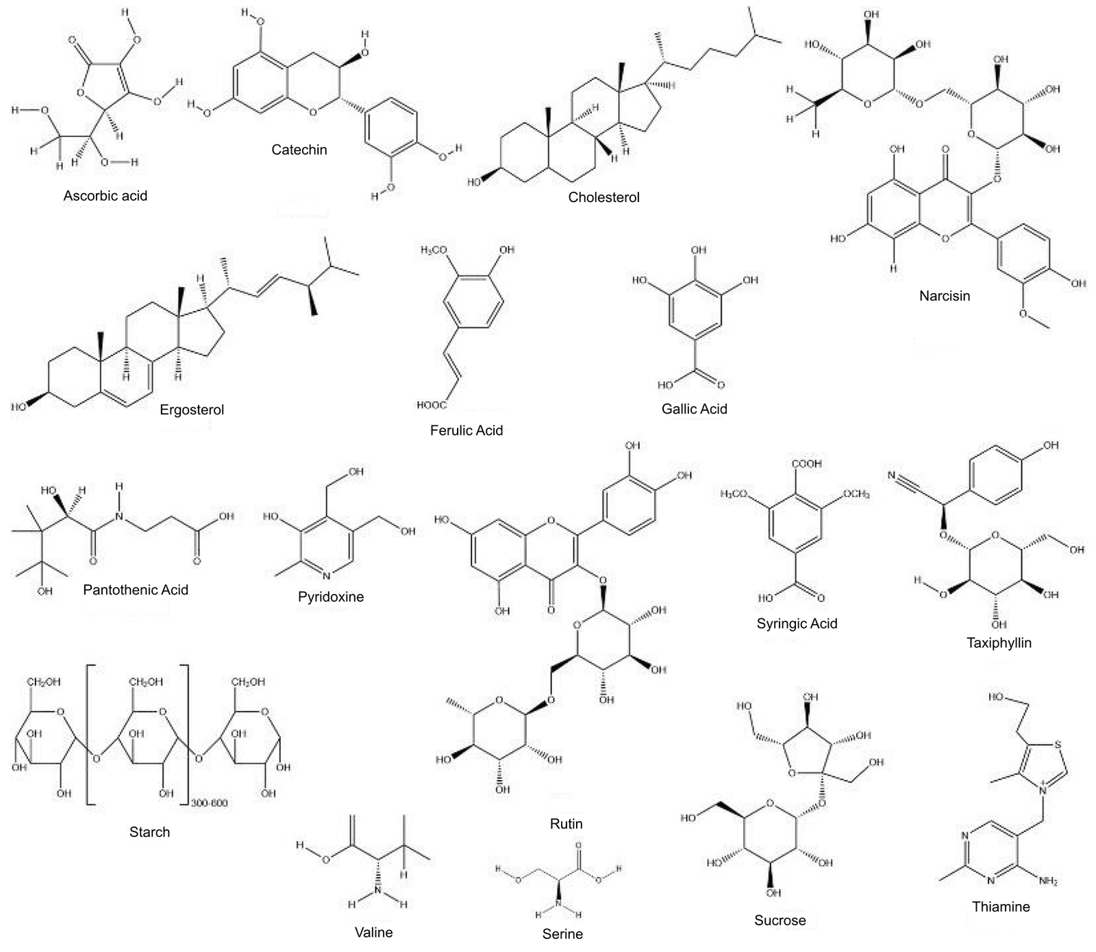 Figure 2. Structures of some phytoconstituents present in B. vulgaris.