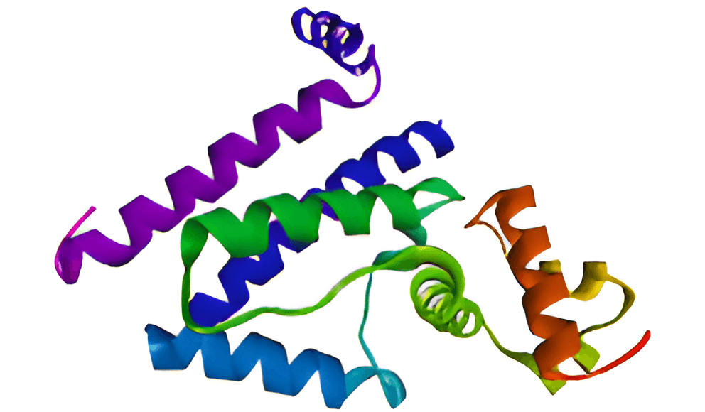 Figure 2. Crystal structure of Tet repressor.