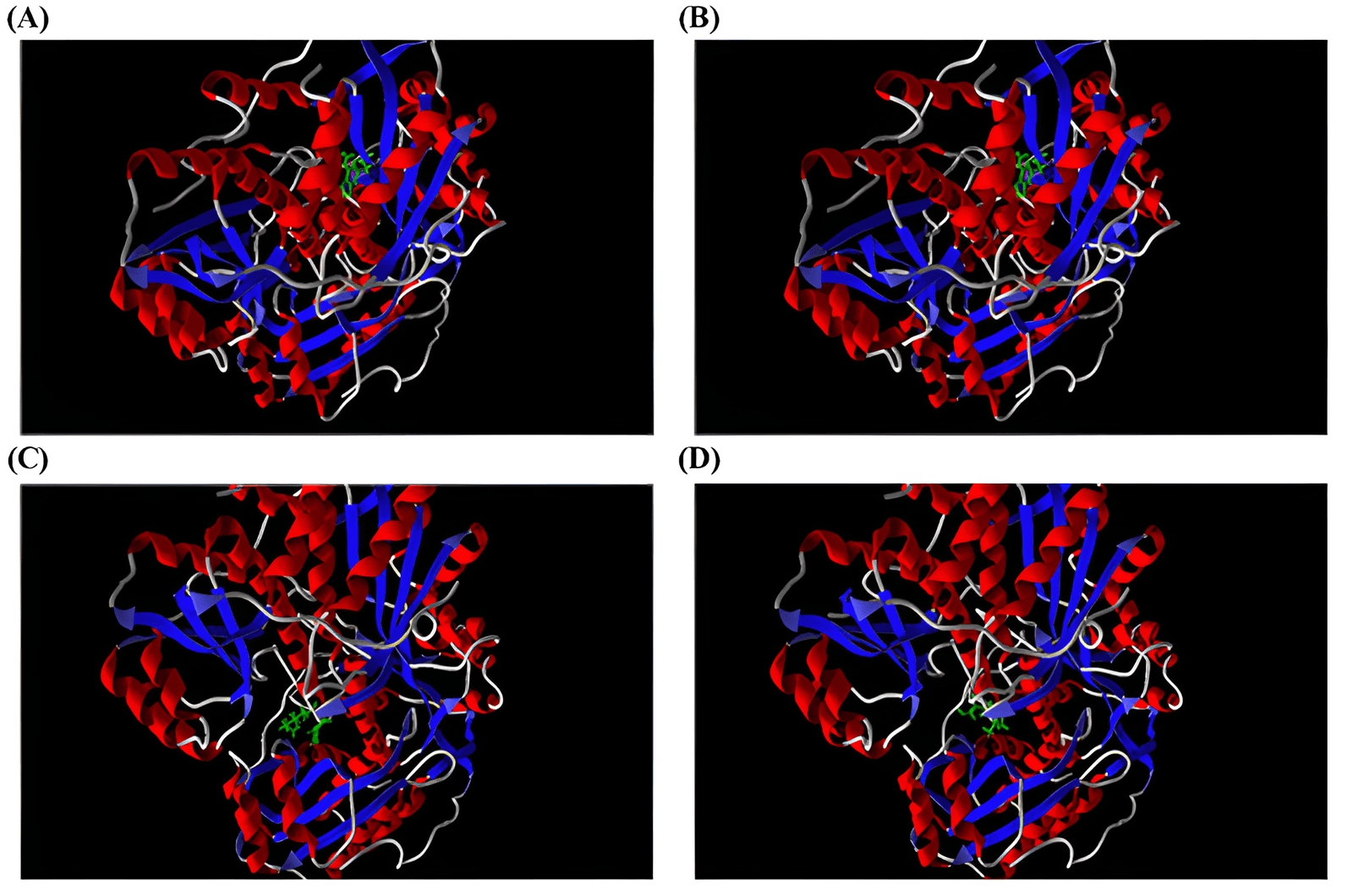 Figure 2. Docking result for 4 best molecules with MVD (A) ZINC ID: 95934481, (B) ZINC ID: 100294788, (C) ZINC ID: 257957021, and (D) ZINC ID: 43284710.