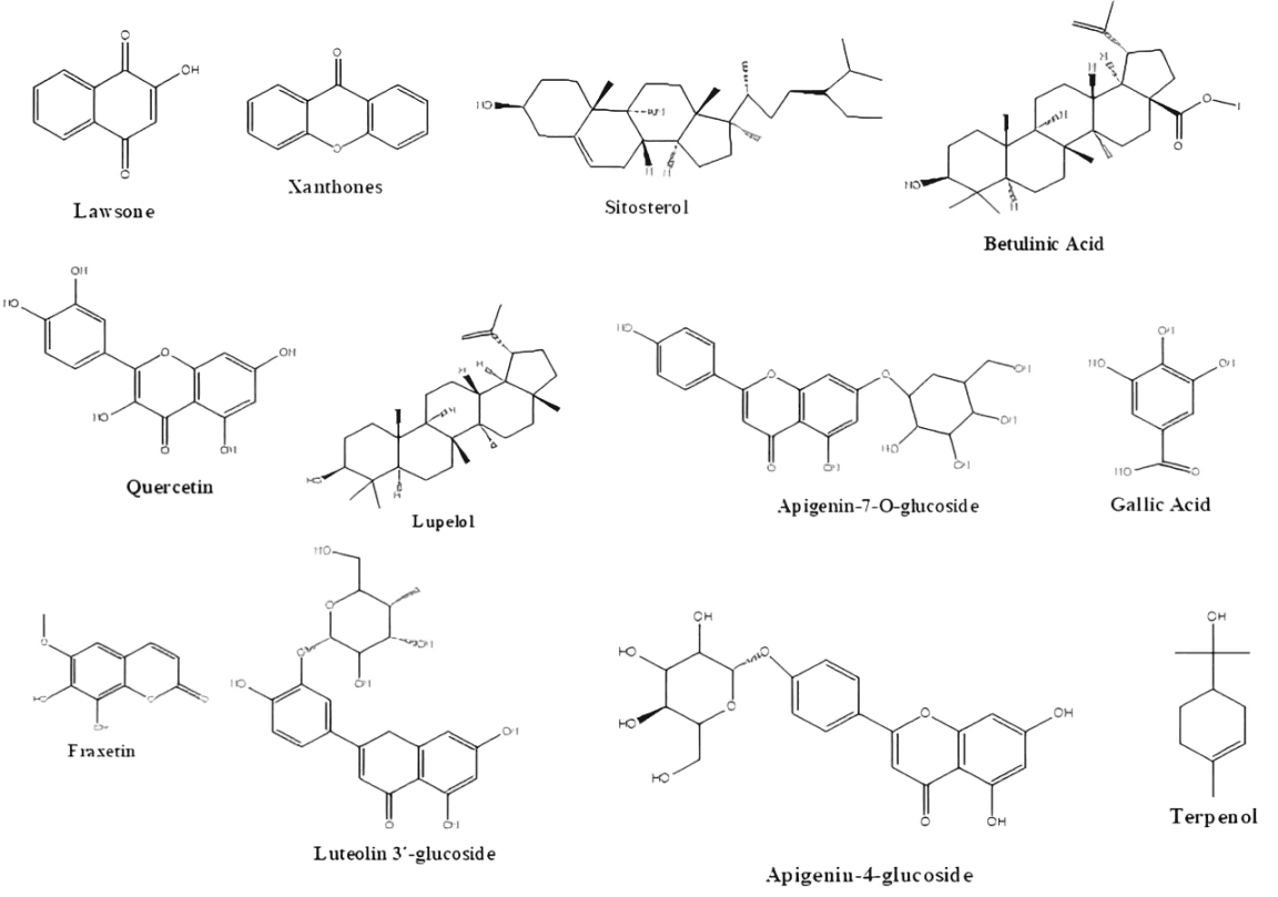 Figure 3. Chemical structures of a variety of compounds isolated from L. inermis.