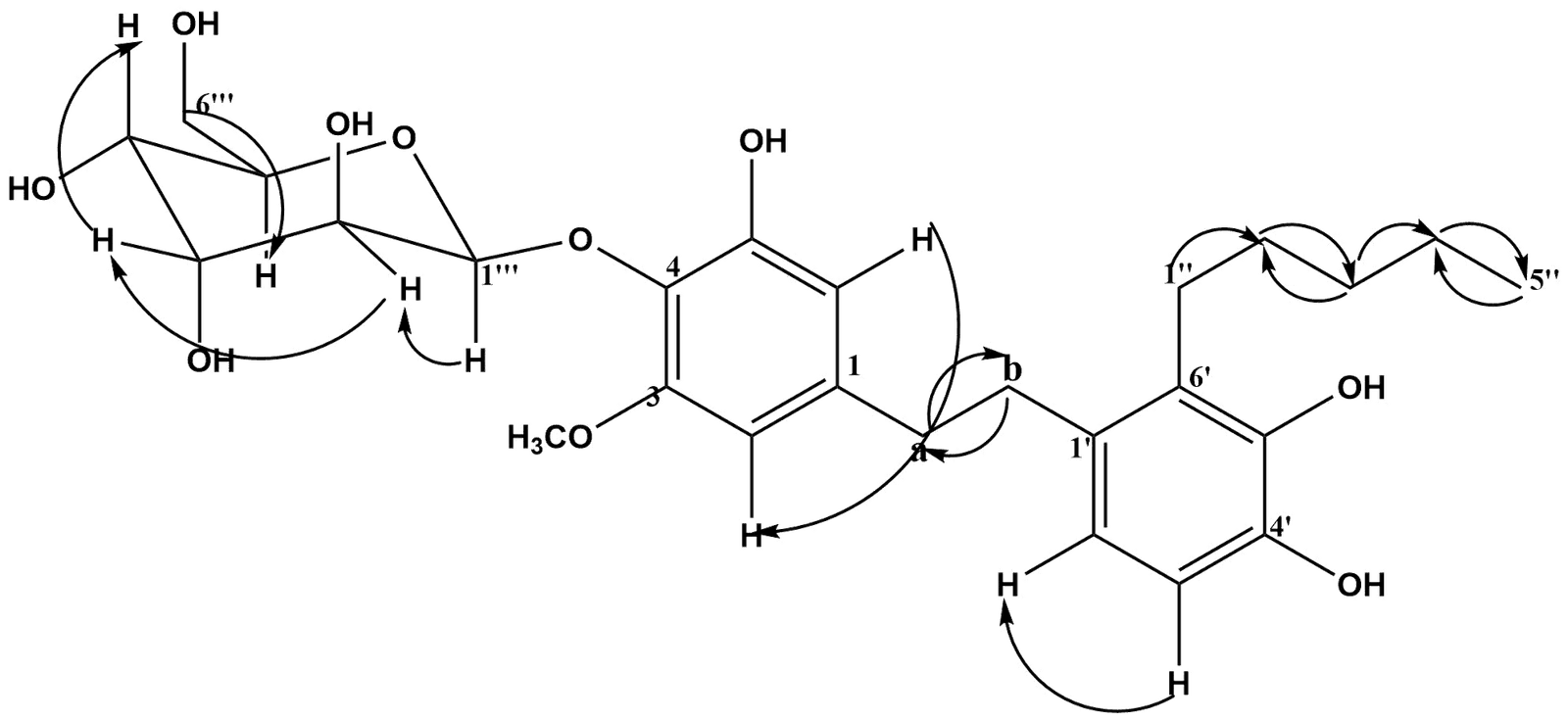 Figure 1. Selected COSY (1H→1H) correlations of compound MM2.