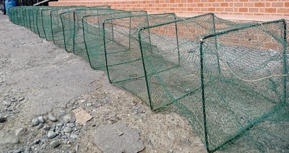 Figure 1. Bubu fishing gear used by local fishermen for catching fish in Lake Tempe.