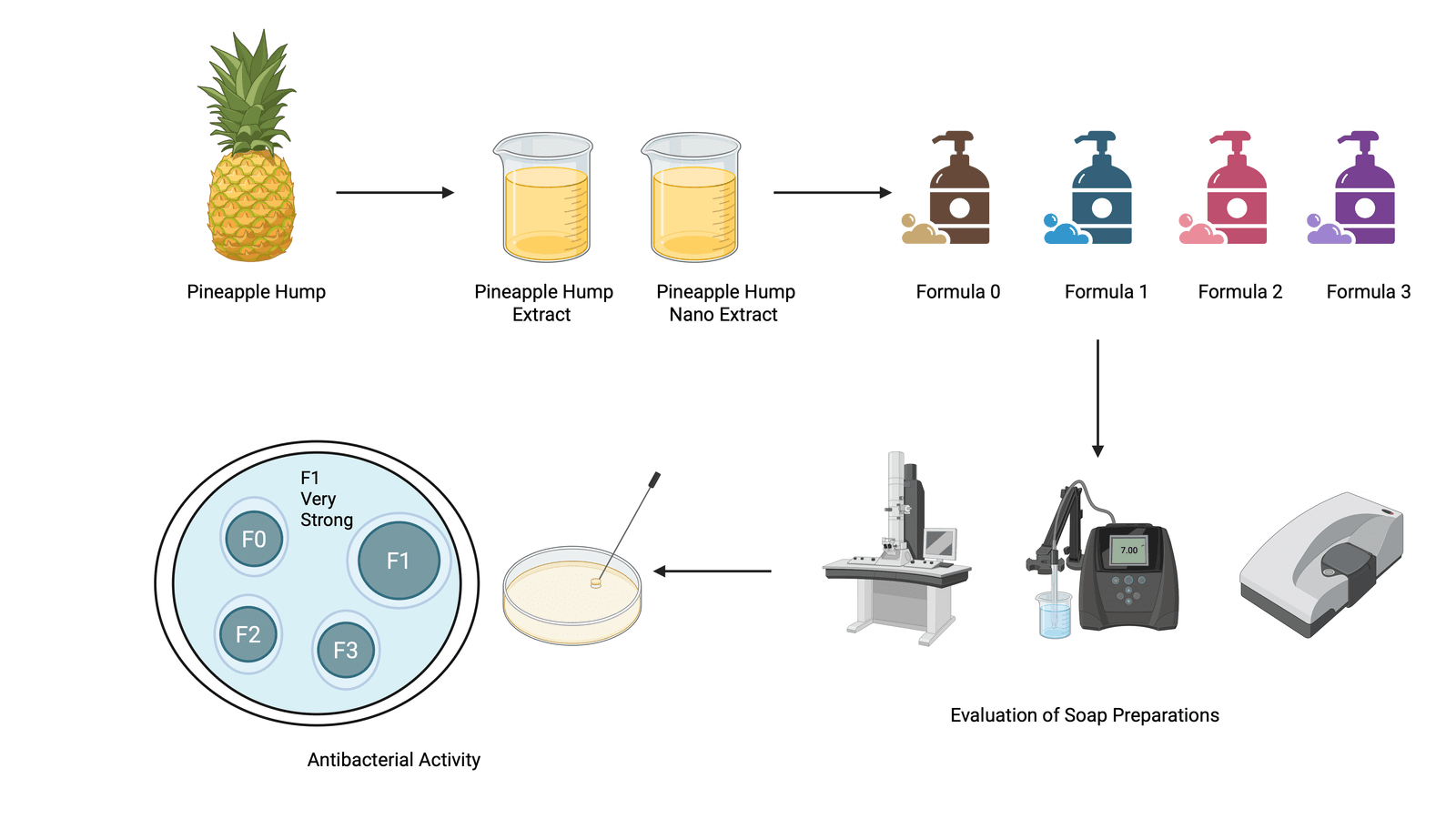 Liquid Soap with Pineapple Hump Extract and Nanoformulation Against Staphylococcus aureus  			