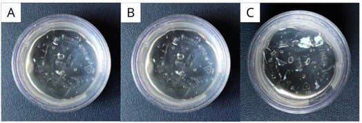 Figure 6. Visual appearance of liposomal gel containing ethanol extract. Note: (A) base gel, (B) formulation gel 1 (FG1), and (C) formulation gel 2 (FG2).