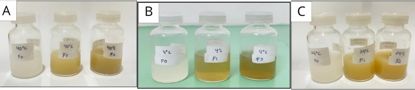 Figure 4. Organoleptic test results of liposomes containing ethanol extract of Centella asiatica (L.) Urban: (A) cold temperature, (B) room temperature, and (C) hot temperature.
