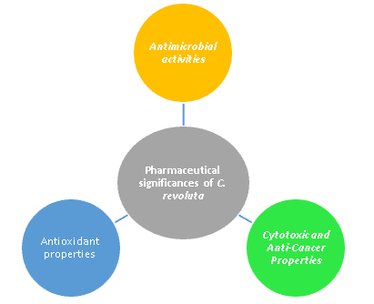 Figure 5. Pharmaceutical significances of C. revoluta.