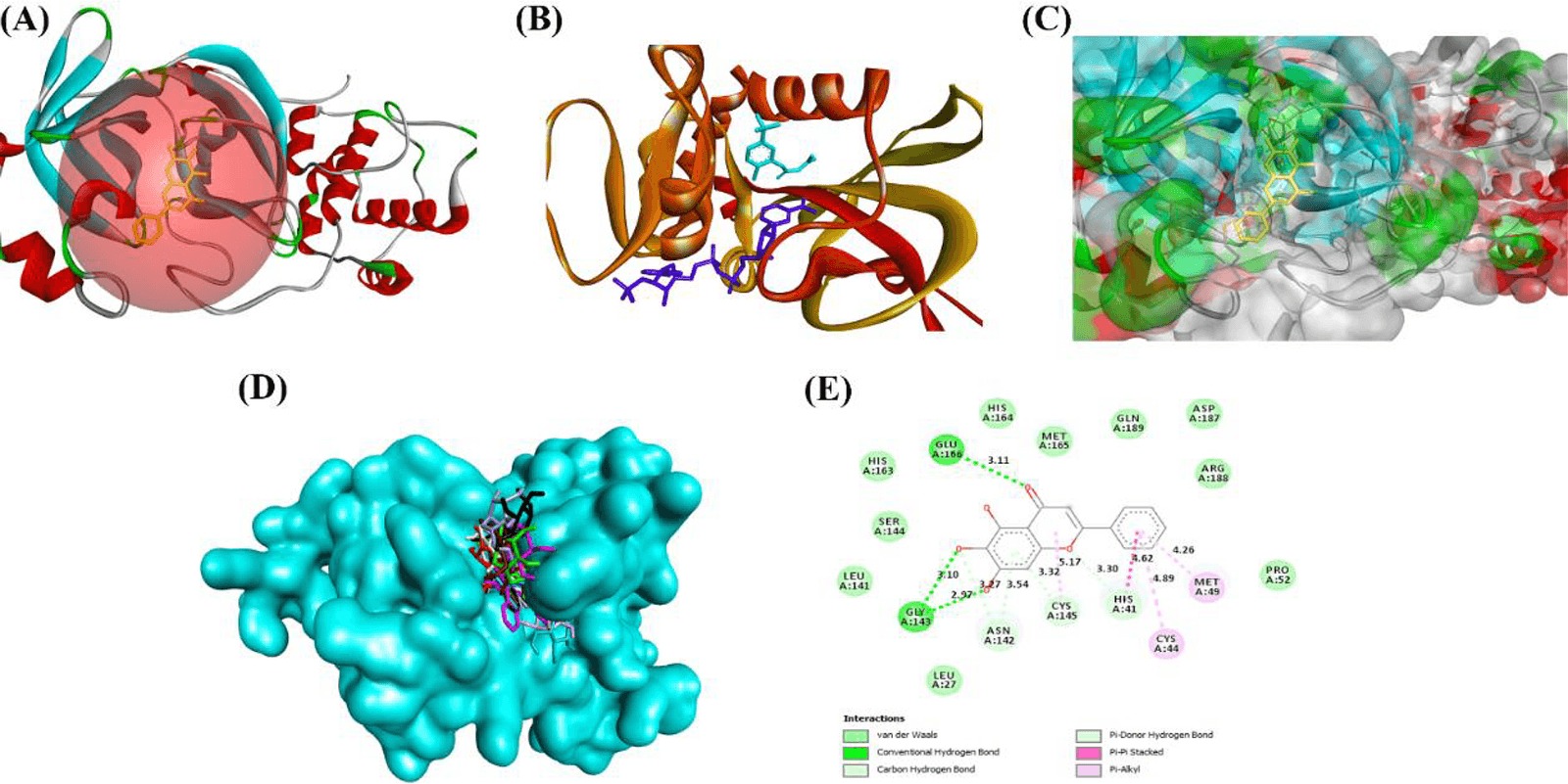 Figure 1. (A) Red sphere indicates the active binding site (allosteric site) of SARS-CoV-2 Mpro. The native ligand bound to the protein at the active binding site is presented in yellow color. (B) Two molecules are bound to the active binding site of PfDHFR-TS. The native ligand is depicted in light blue color while the other ligand in dark blue color is a peptide. (C) The binding pose of a ligand (yellow color) within the active binding pocket of SARS-CoV-2 Mpro. (D) The 9 different binding poses for a single compound at the active binding site of PfDHFR-TS. Each binding pose represented in different colors has a different binding affinity towards the protein. (E) Protein-ligand interactions between the native ligand and the amino acids at the active binding site of SARS-CoV-2 Mpro. There are 6 different types of interaction and the bond lengths are measured in Å units.