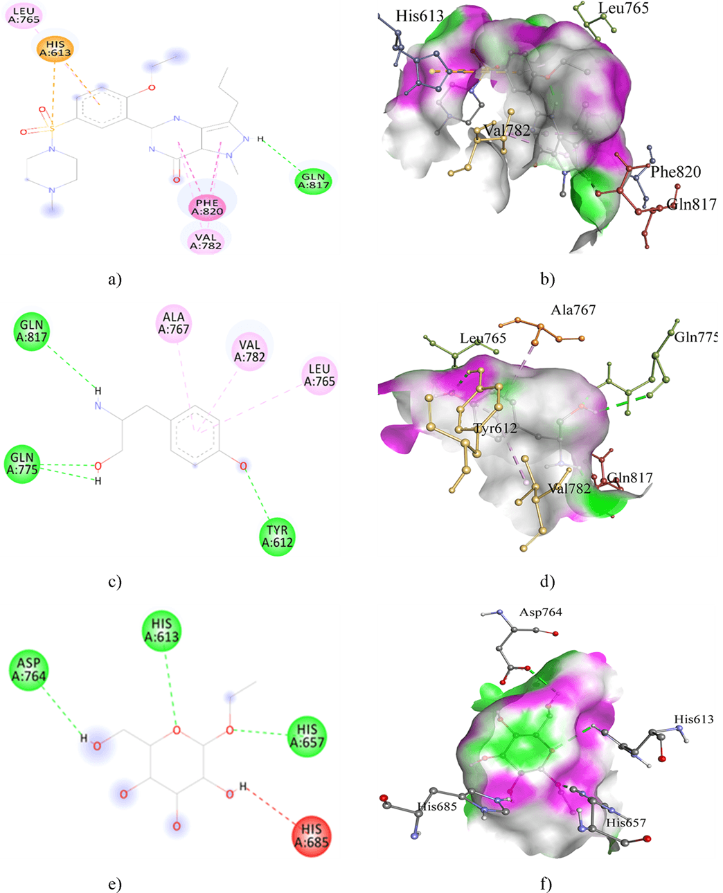 Figure 4. Docking interactions of PDE5 with sildenafil citrate; a) 2D and b) 3D, Tyrosinol; c) 2D and d) 3D, and Ethyl D-glucopyranoside; e) 2D and f) 3D.