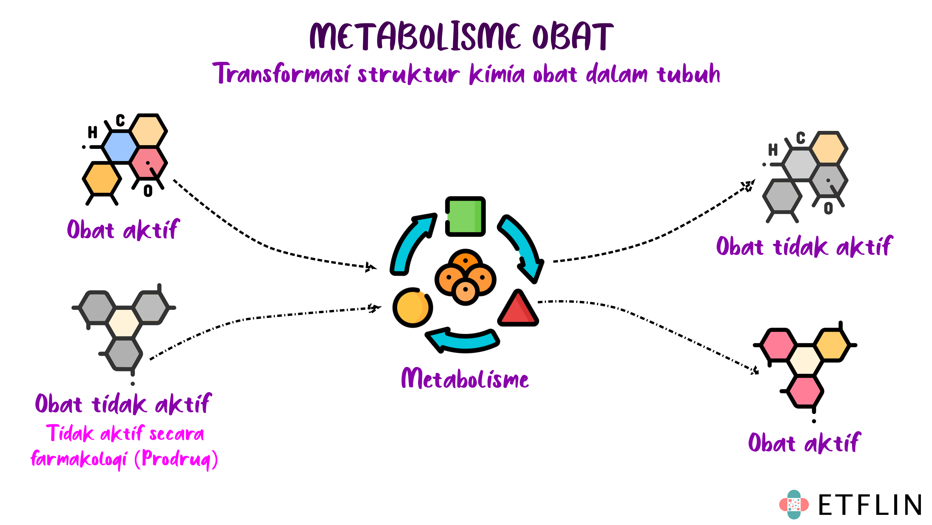 Prinsip metabolisme dan eliminasi obat dalam tubuh