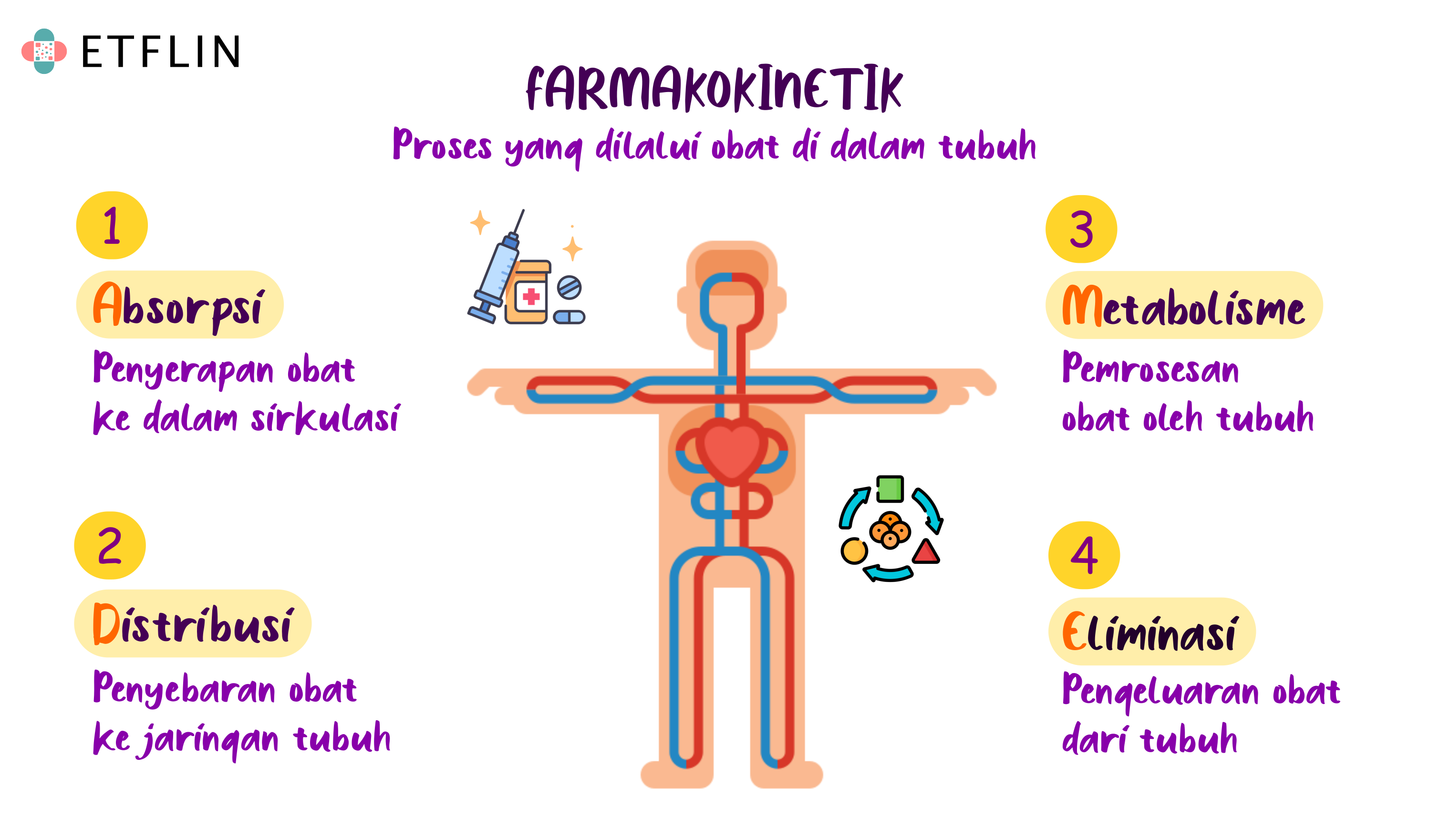 Farmakokinetik