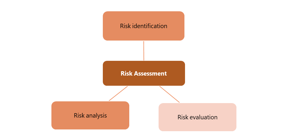 Figure 2. Steps in the risk assessment.