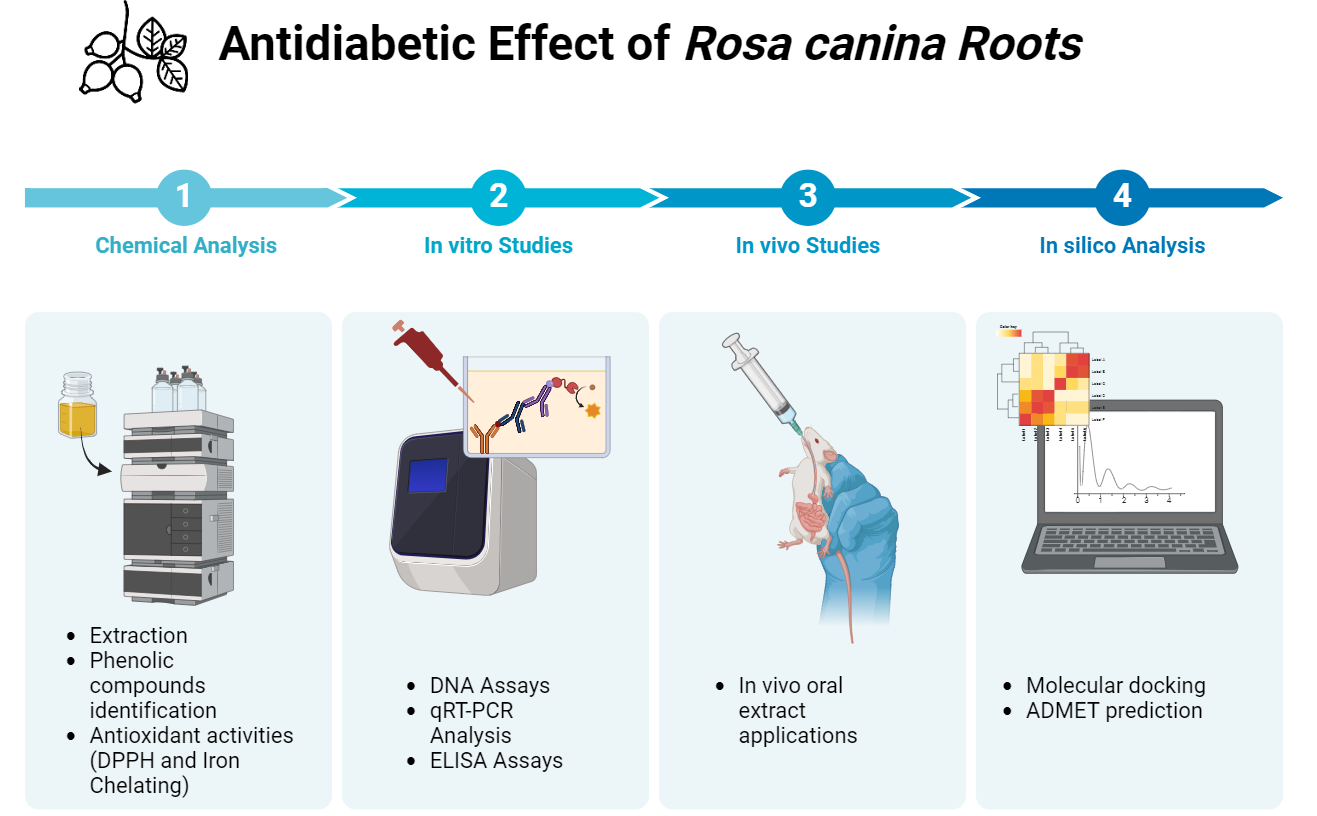 Bioactive Compounds of Rosa canina L. and Their Effect on Tumor Necrosis Factor-α and Interleukin-1β Activity in Diabetes-Induced Rats