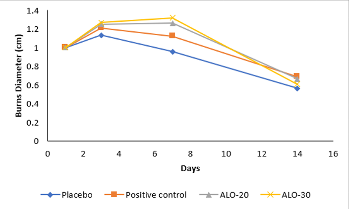 Figure 2. Burns diameter of rats during 14 days of treatment.