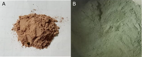 Figure 1. Powders of (A) porang tuber and (B) moringa leaves.