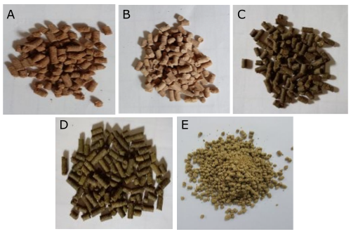 Figure 2. Pellets of (A) porang tuber, (B) wheat flour, (C) porang tuber + moringa leaf, (D) wheat flour + moringa leaf, and (E) standard feed.
