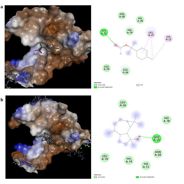 Figure 4. Progesterone receptor interactions (a) alpha-terpinyl acetate and (b) spathulenol.