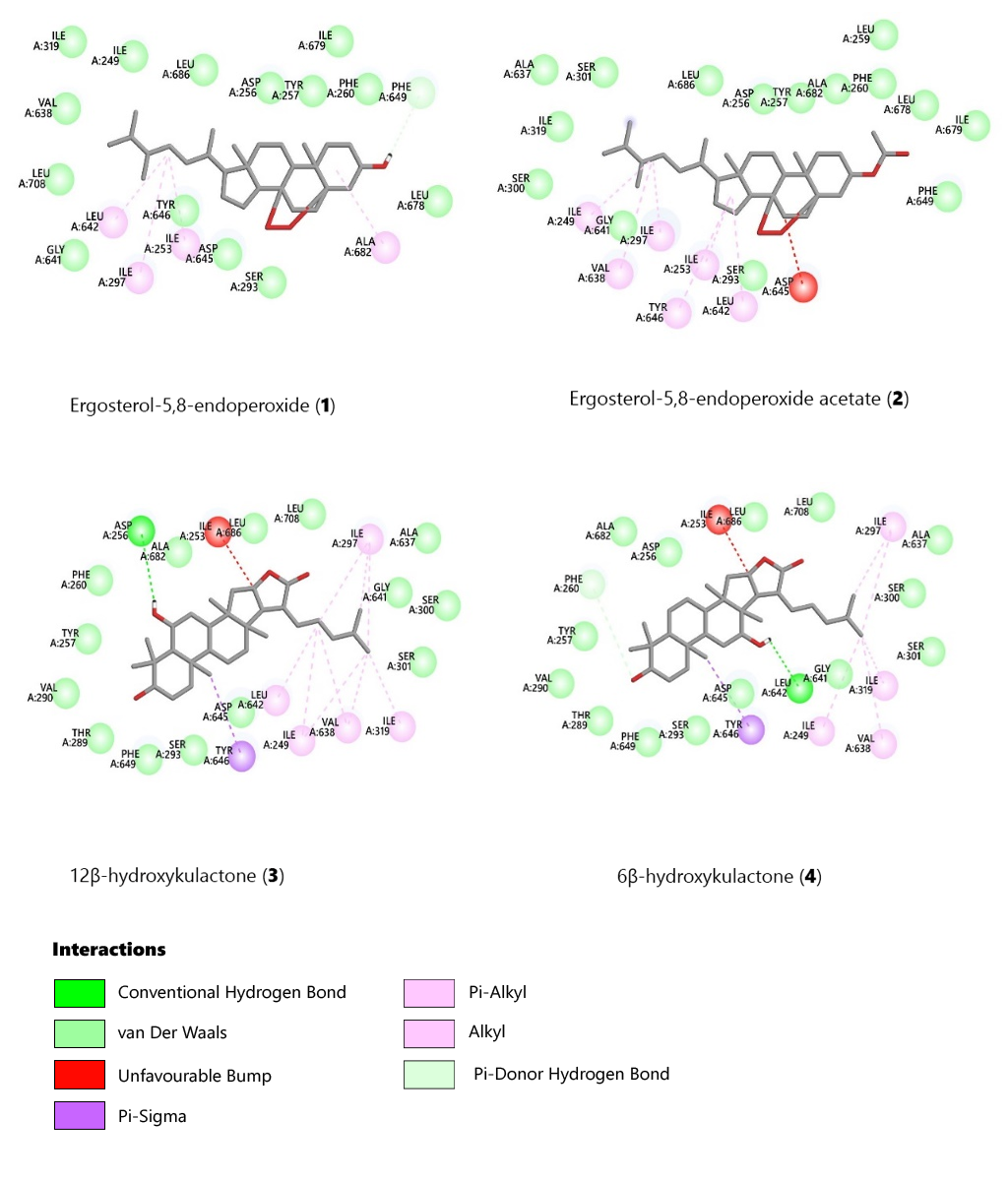 Figure 3. 2D diagrams showing interactions of the protein (PDB ID: 6ajh) amino acids in the receptor pocket docked with the most favourable pose of the triterpenoids (1-4).