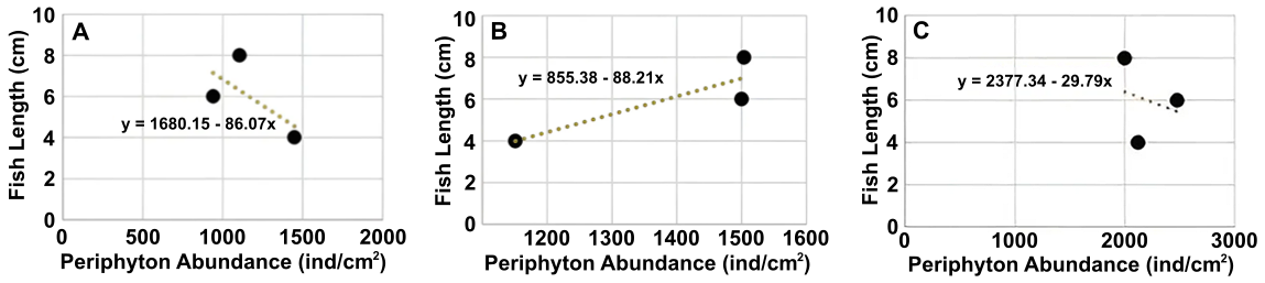 Figure 1. Relationship between periphyton abundance and fish size.