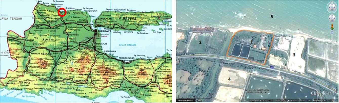 Figure 1. Location of MFF Boncong in Tuban Regency (A) and MFF Boncong by Google map (B).