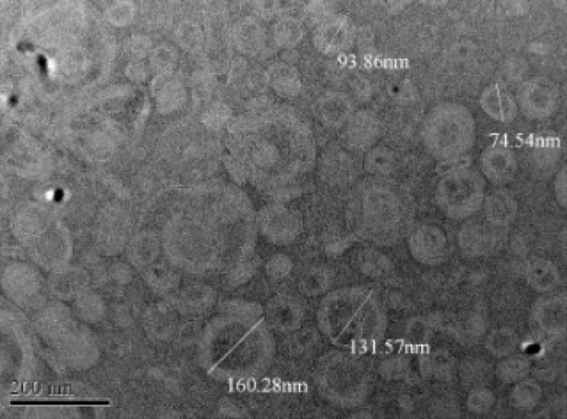 Figure 3. TEM image of resveratrol-loaded NLC.