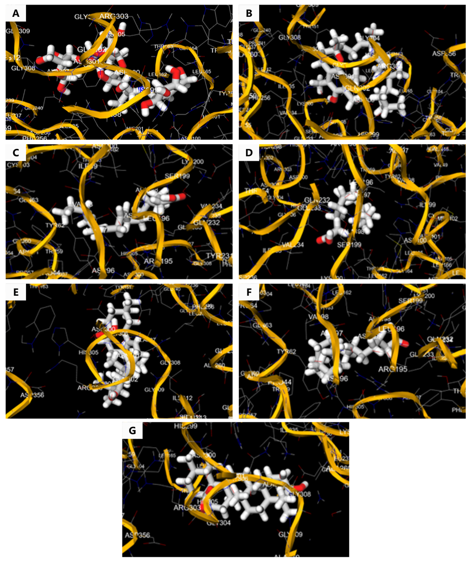 Figure 1. 3D interaction of α-amylase with (A) acarbose, (B) α-tocopherol, (C) linoleic acid, (D) myristic acid, (E) oleanolic acid, (F) palmitic acid, and (G) ursolic acid.