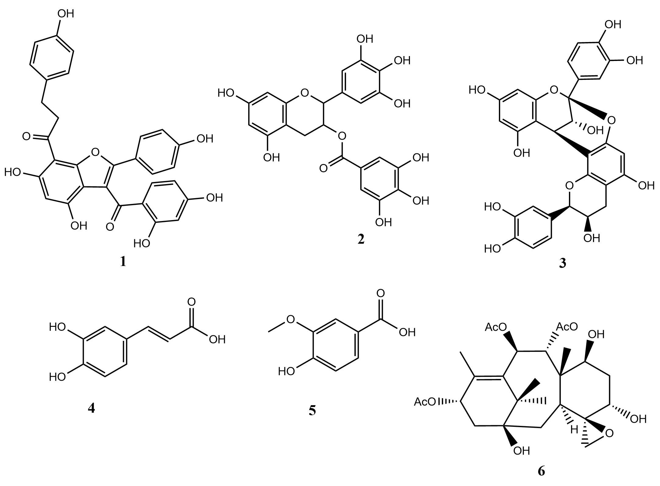 Figure 3. 2D chemical structure of alodenin A (compound 1), (-)- epigallocatechin-gallate (compound 2), procyanidin A2 (compound 3), caffeic acid (compound 4), vanillic acid (compound 5), and taxumariene (compound 6).