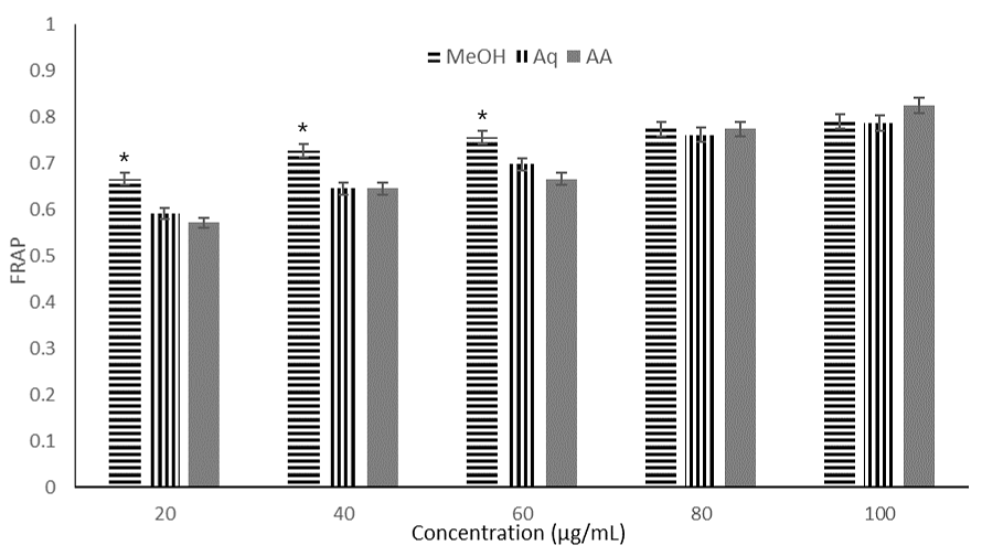 Figure 2. Ferric reducing antioxidant power (FRAP) activity of different concentrations (20-100 µg/mL) of Maesobotrya barteri leaves methanol and aqueous extracts.