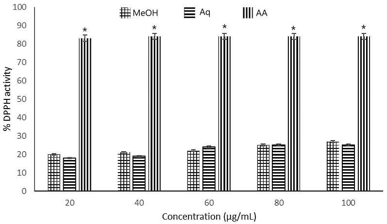 Figure 1. DPPH radical scavenging activity of different concentrations (20-100 µg/mL) of Maesobotrya barteri leaves methanol and aqueous extracts.