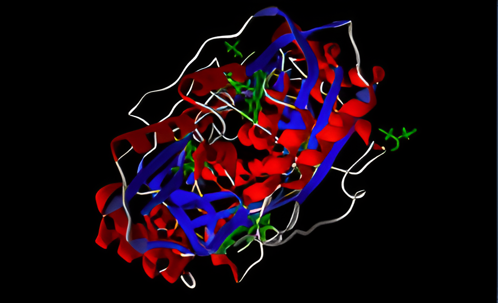 Figure 1. 3D structure of 3qdl and its ligands.
