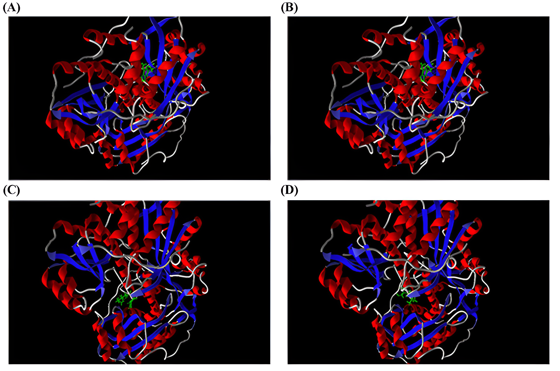 Figure 2. Docking result for 4 best molecules with MVD (A) ZINC ID: 95934481, (B) ZINC ID: 100294788, (C) ZINC ID: 257957021, and (D) ZINC ID: 43284710.