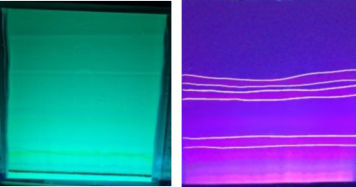 Figure 1. Isolates of ethyl acetate fraction on TLC-P.