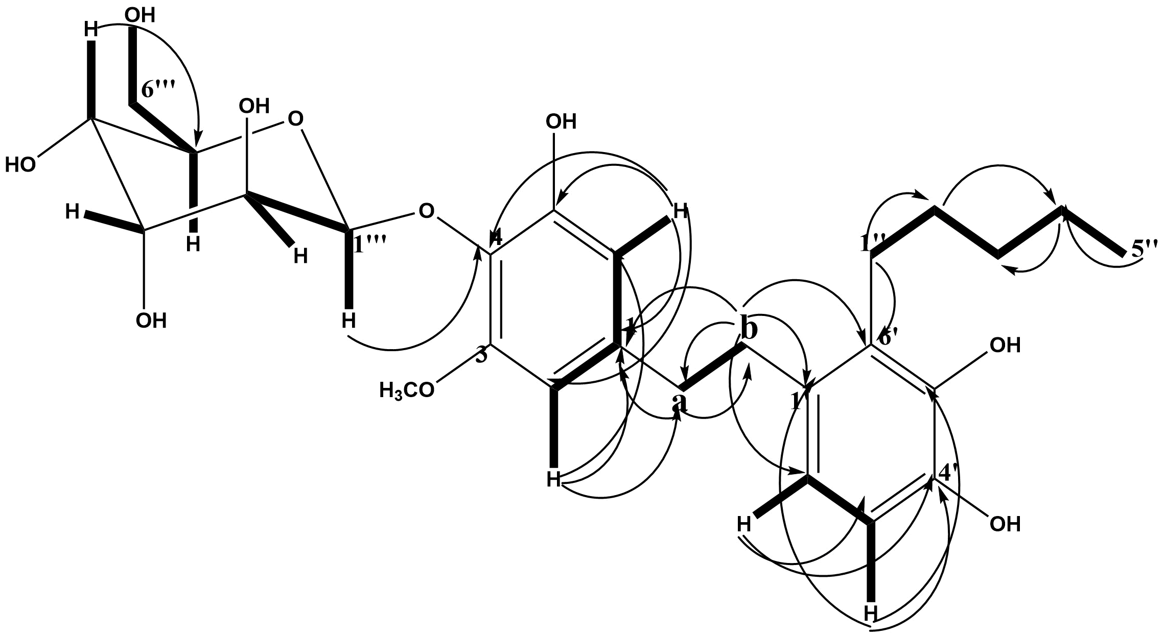 Figure 2. Selected HMBC (1H→13C) and COSY (—) correlations in compound MM2.