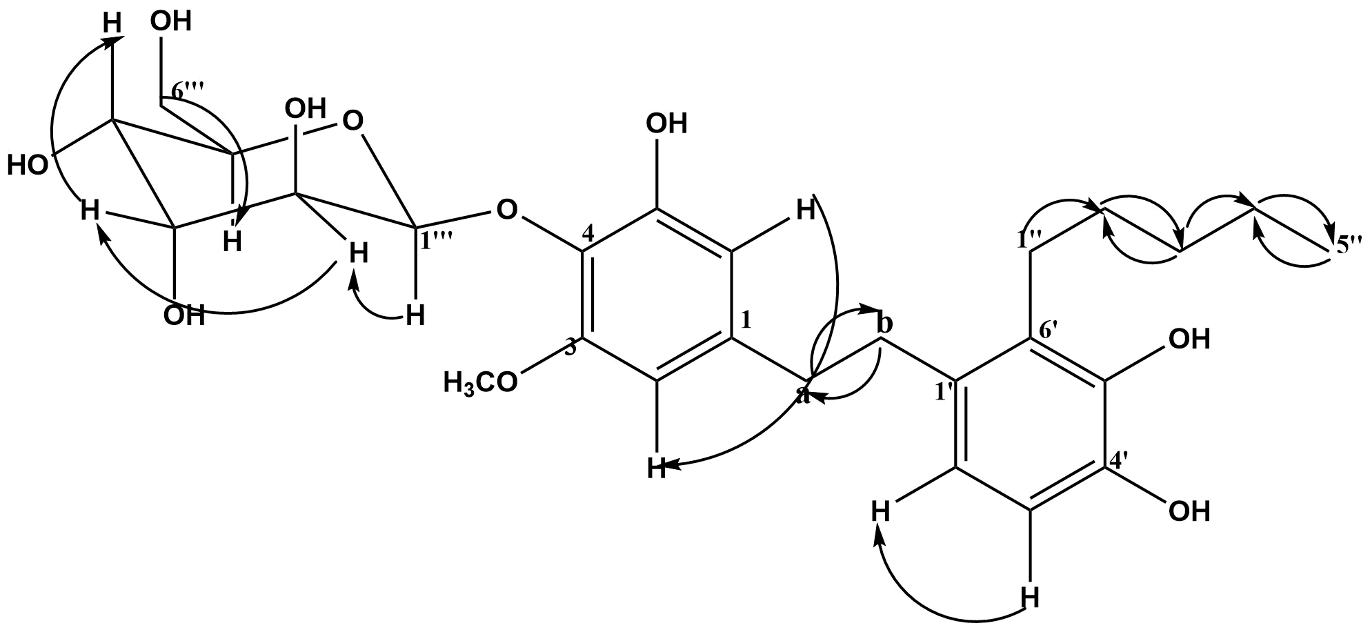 Figure 1. Selected COSY (1H→1H) correlations of compound MM2.