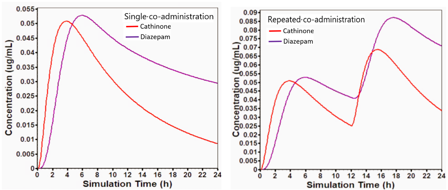 Figure 6. Comparison of single and repeated co-administration of cathinone (1) and diazepam (6) using Gastro Plus 9.8. Co-administration increases cathinone AUC by ~1.5-fold and reduces apparent clearance by ~33%, while diazepam shows a 1.3-fold AUC increase and ~24% clearance reduction, indicating moderate pharmacokinetic interaction consistent with CYP2D6 and CYP2C19 inhibition. Upon repeated dosing, diazepam (6) exhibits cumulative plasma concentrations while cathinone (1) shows a quicker peak and decline, with signs of modest accumulation.