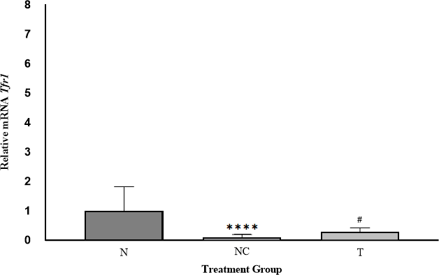 Figure 3. Relative Expression of Tfr1 Gene in Rat Liver. The expression of Tfr1 was significantly decreased in the NC group (iron dextran) and increased in the T group (iron dextran + DFP). Data are presented as mean ± SD (n = 6) and were analyzed using GraphPad Prism software. *Significant difference compared with the N group (p < 0.05); #Significant difference compared with the NC group (p < 0.05).
