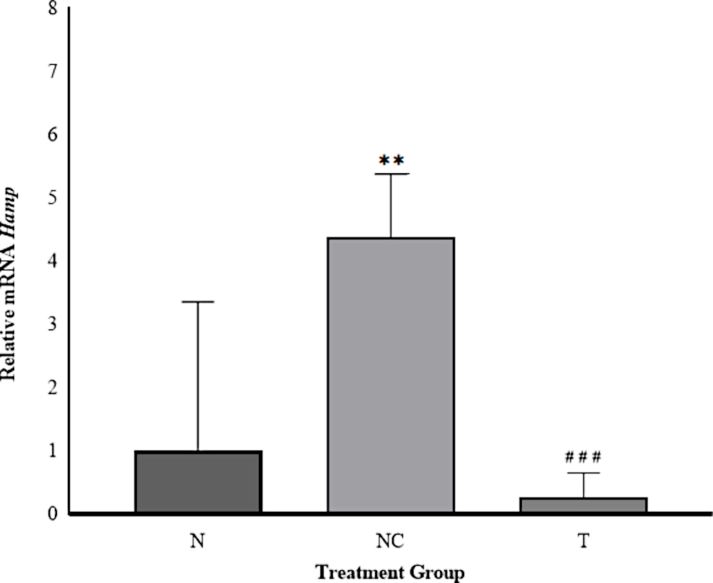 Figure 1. Relative Expression of Hamp Gene in Rat Liver. The expression of Hamp was significantly increased in the NC group (iron dextran) and decreased in the T group (iron dextran + DFP). Data are presented as mean ± SD (n = 6) and were analyzed using GraphPad Prism software. *Significant difference compared with the N group (p < 0.05); #Significant difference compared with the NC group (p < 0.05).