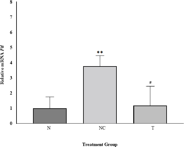 Figure 2. Relative Expression of Ftl Gene in Rat Liver. The expression of Ftl was significantly increased in the NC group (iron dextran) and decreased in the T group (iron dextran + DFP). Data are presented as mean ± SD (n = 6) and were analyzed using GraphPad Prism software. *Significant difference compared with the N group (p < 0.05); #Significant difference compared with the NC group (p < 0.05).
