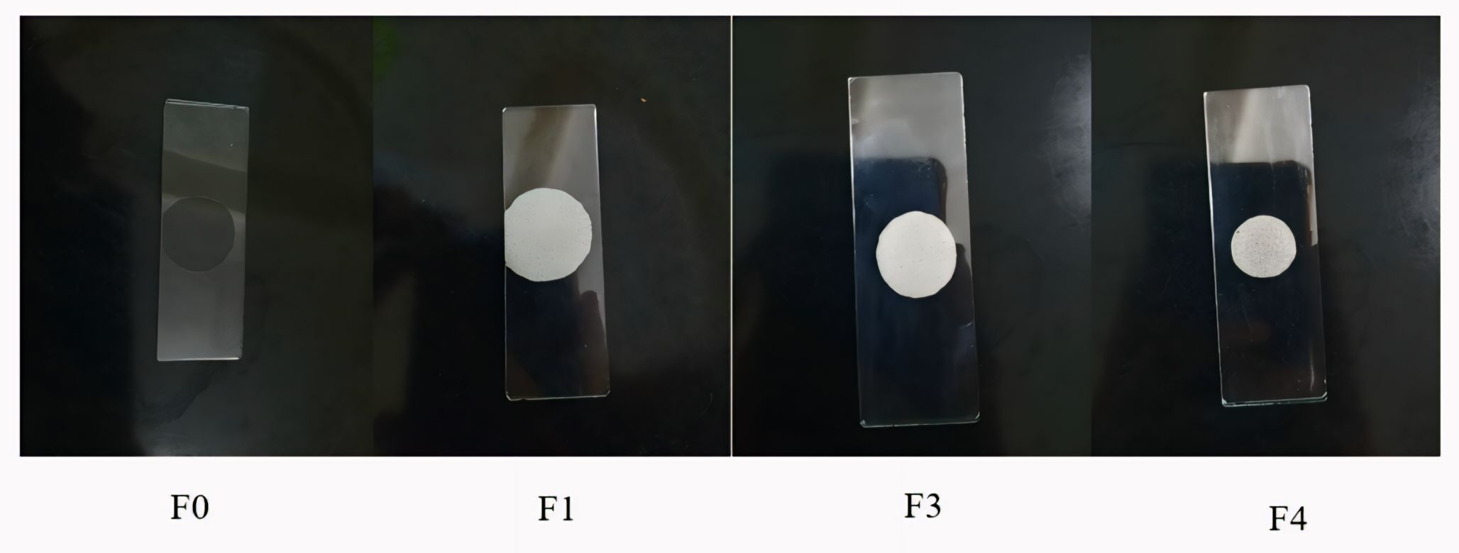 Figure 1. Gel homogeneity of formula 0 (F0) to formula 3 (F3).