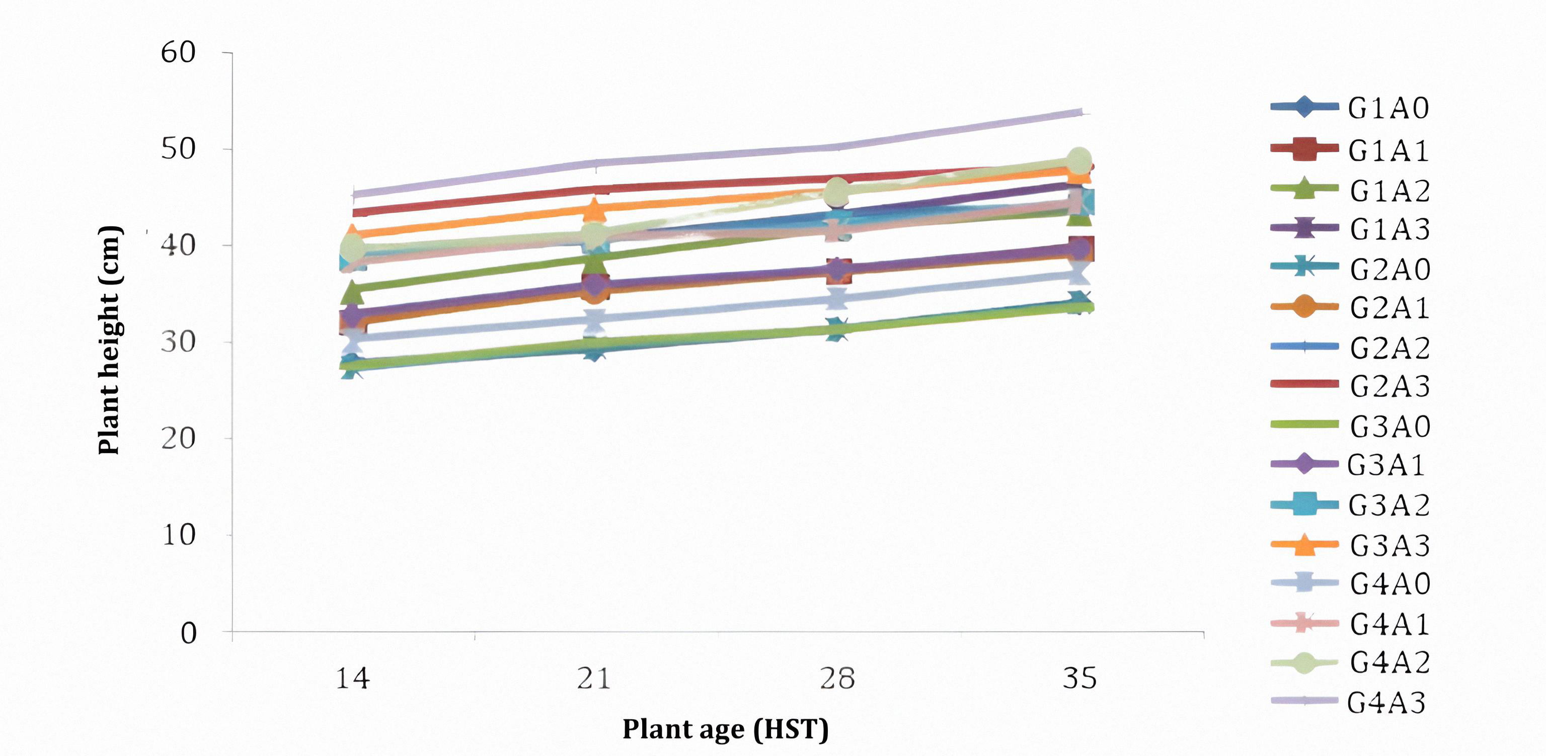 Figure 1. Plant height of eggplant under Takakura compost application.