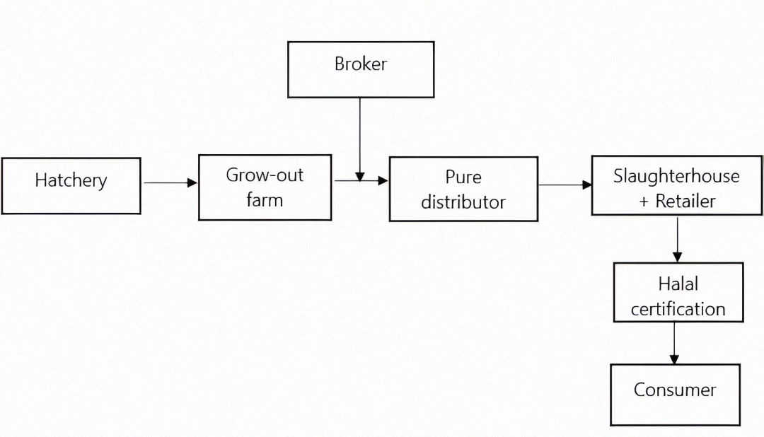 Figure 1. Chicken meat supply chain flow in Wonokromo Market, Surabaya.